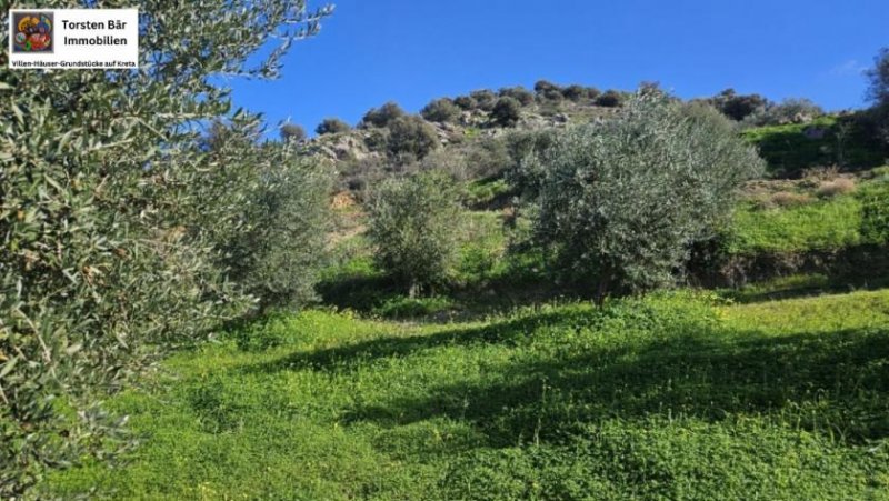 Kouses Baugrundstück in Kouses, Kreta Grundstück kaufen